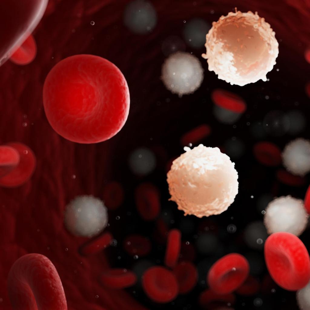 Foto van rode en witte bloedcellen